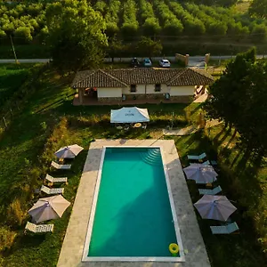 Apartment Anfora Della 